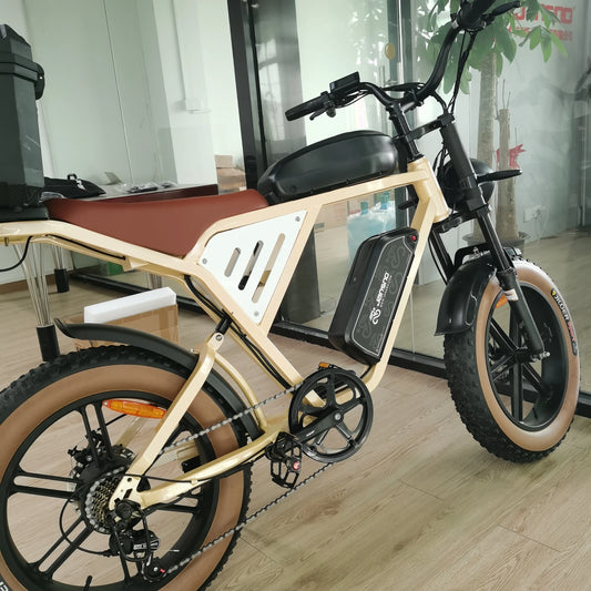 Dual Battery Fat Tire Ebike
