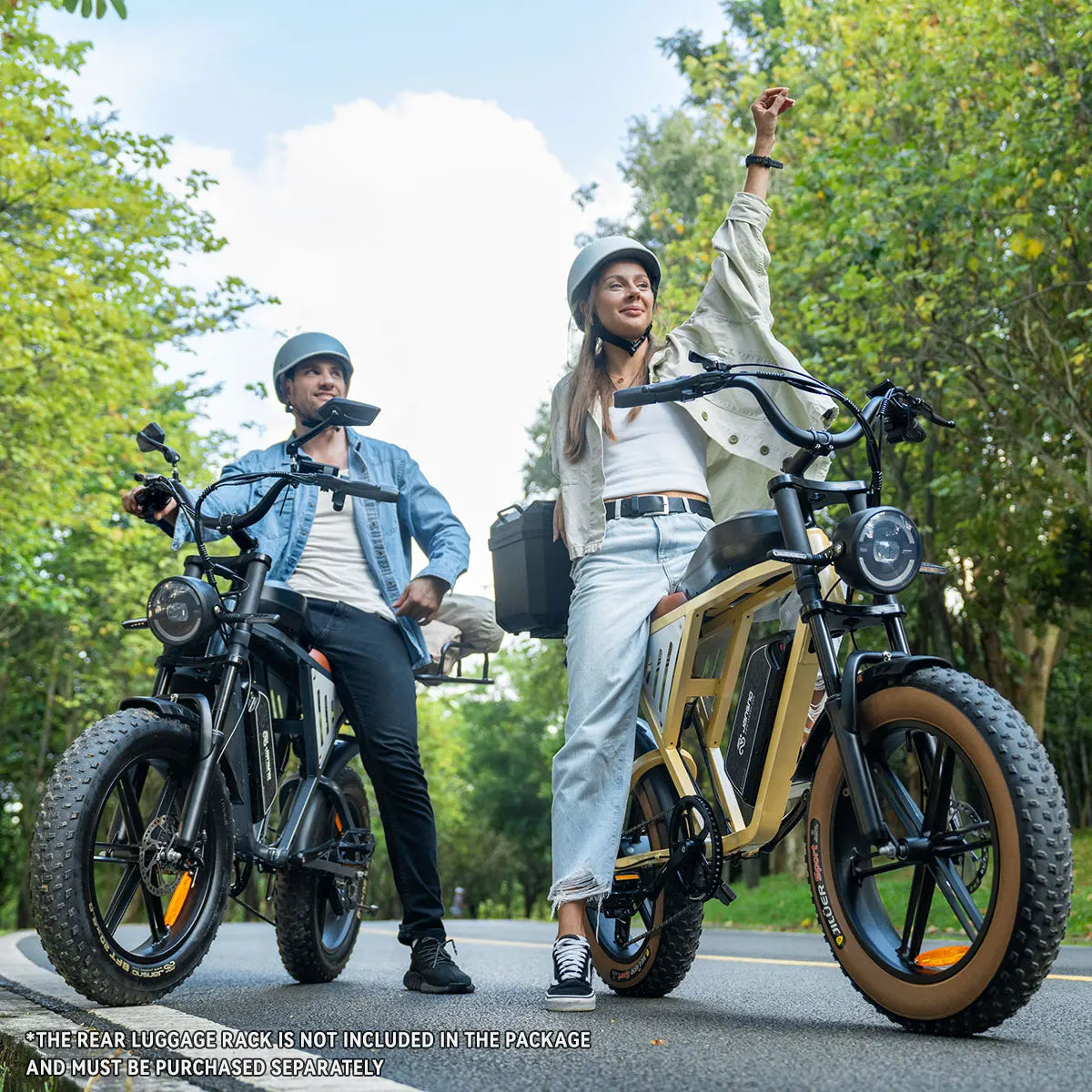 Dual Battery Fat Tire Ebike