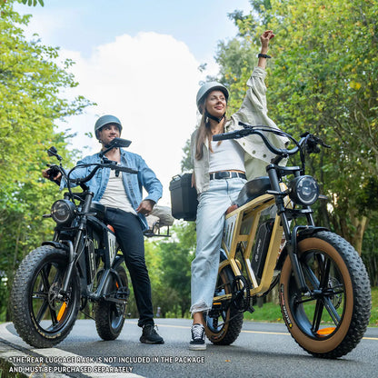 Dual Battery Fat Tire Ebike