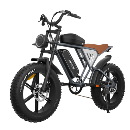 Dual Battery Fat Tire Ebike