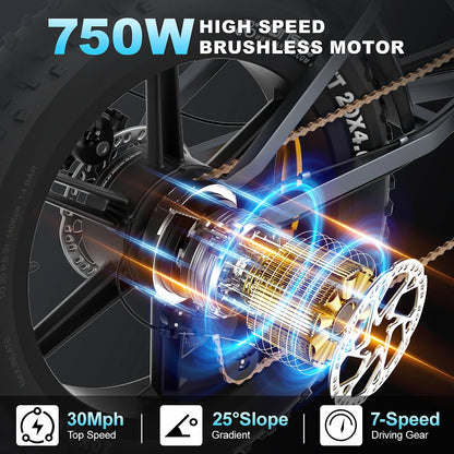 Dual Battery Fat Tire Ebike